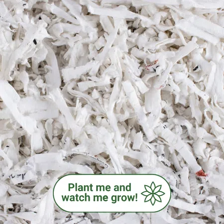 Plantable Seed Paper Shredded Box Filler - 1kg