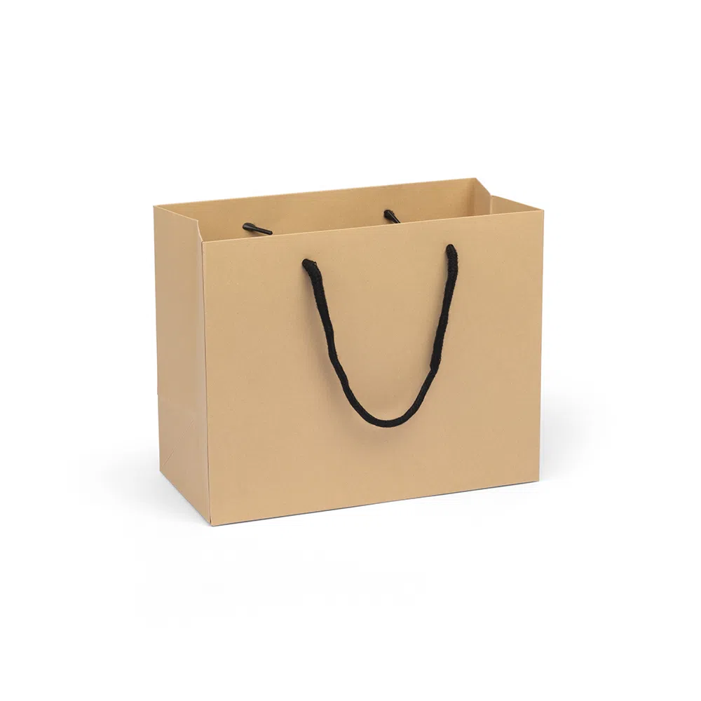 Medium Landscape Kraft Brown Paper Gift Bag With Rope Handles