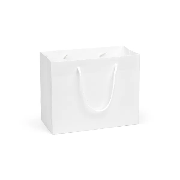 Medium White Landscape Paper Gift Bag With Rope Handles