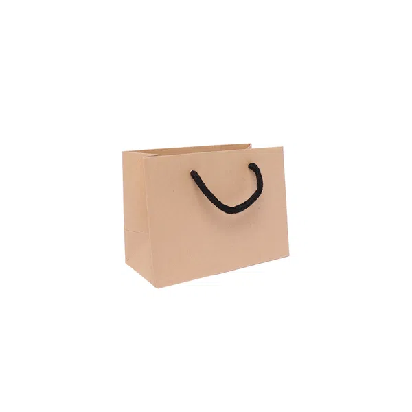 Small Landscape Kraft Brown Paper Gift Bag With Rope Handles
