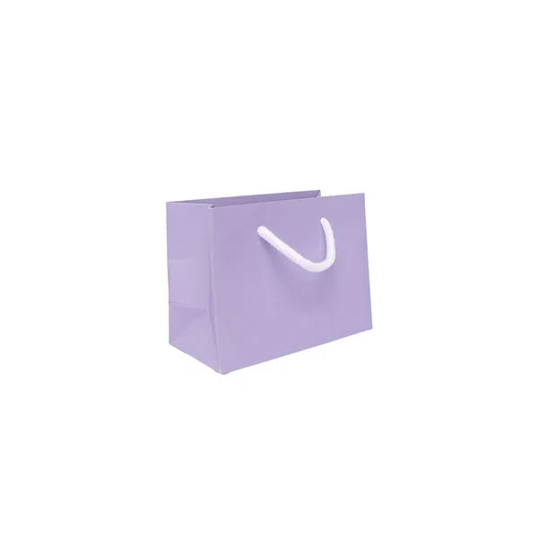 Small Landscape Lilac Paper Gift Bag With Rope Handles