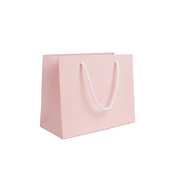 Medium Rose Quartz Pink Landscape Paper Gift Bag With Rope Handles
