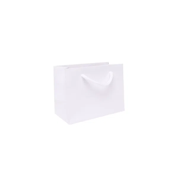 Small Landscape White Paper Gift Bag With Rope Handles