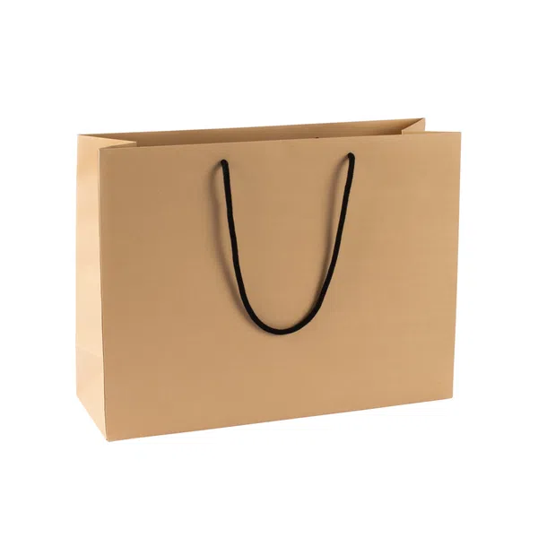 Extra Large Landscape Kraft Paper Gift Bag With Rope Handles