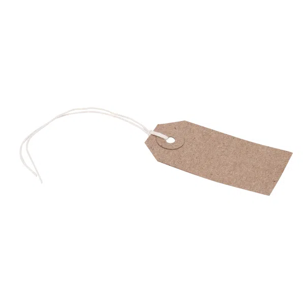 Plain Kraft Luggage Tags