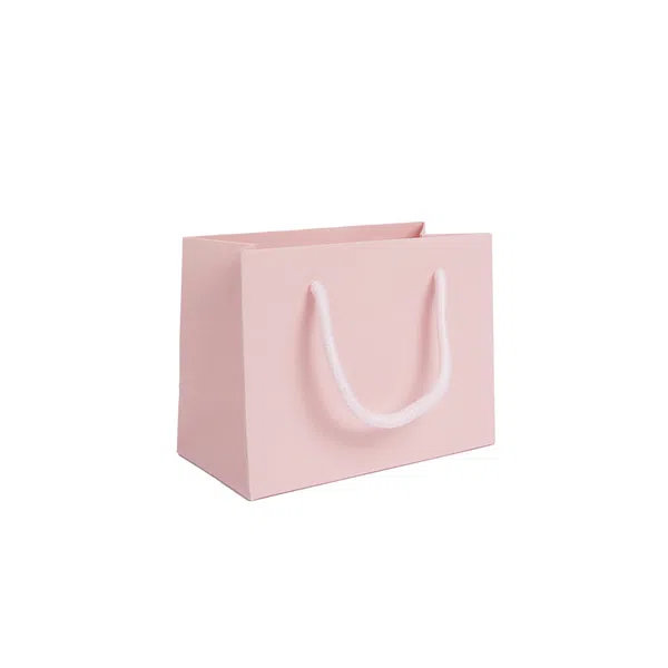 Small Landscape Rose Quartz Pink Paper Gift Bag With Rope Handles