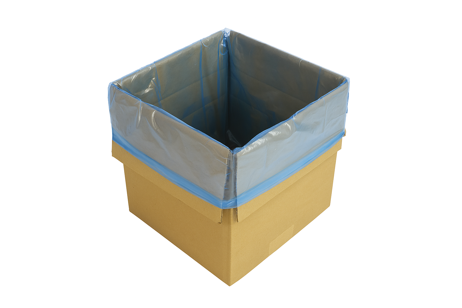 Blue Food Bag