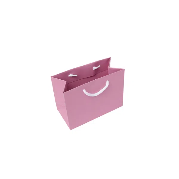 Small Landscape Fondant Pink Paper Gift Bag with Rope Handles